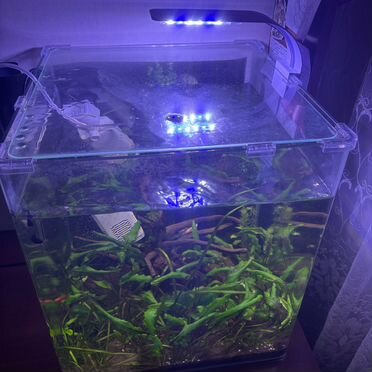 Аквариум dennerle nano cube 60 литров