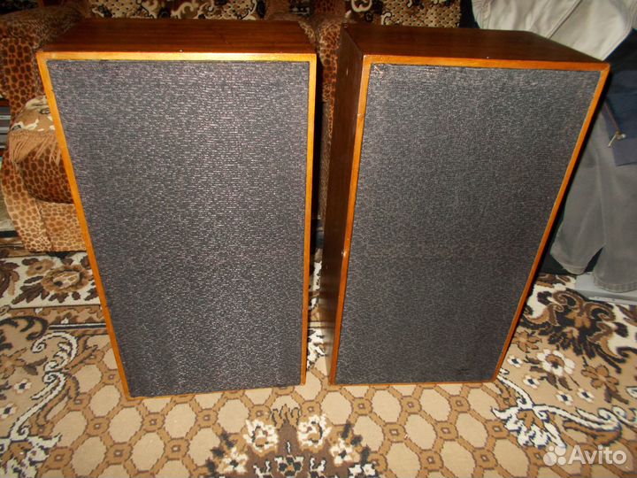 Акустика высшего класса Электроника Б1-01