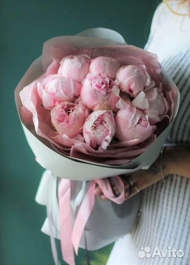 Пионы Сара Бернард №596