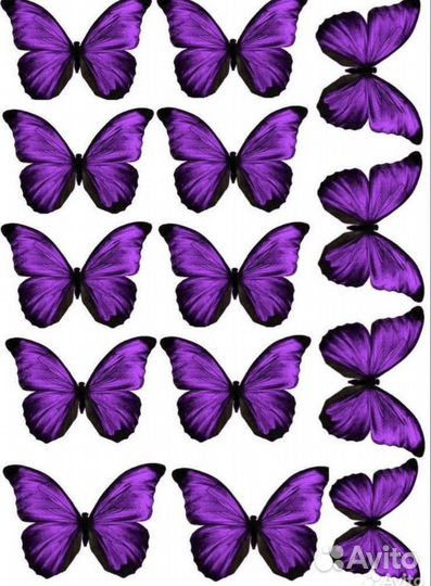 Букет из бабочек