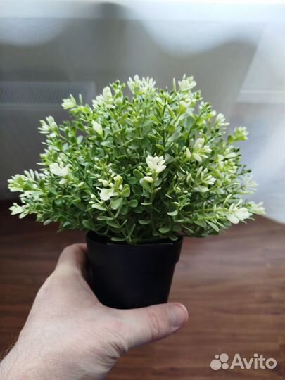 Искусственные цветы IKEA фейка