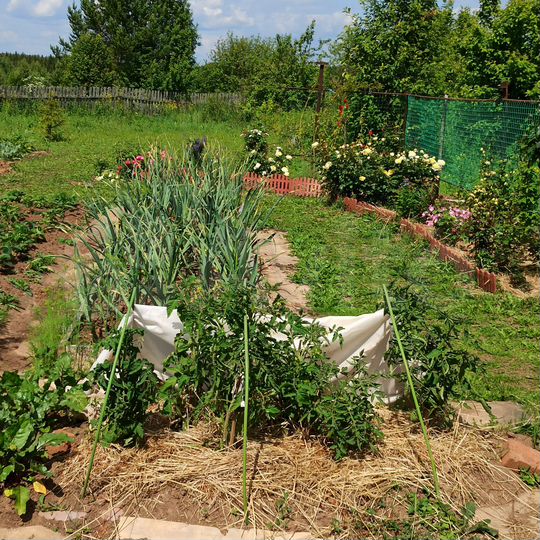 Дом 30,7 м² на участке 15 сот.