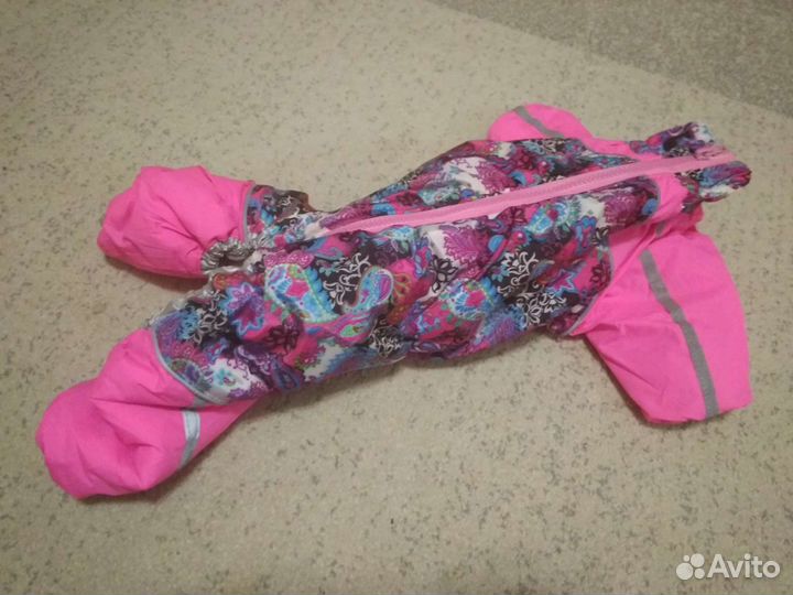 Одежда для собак