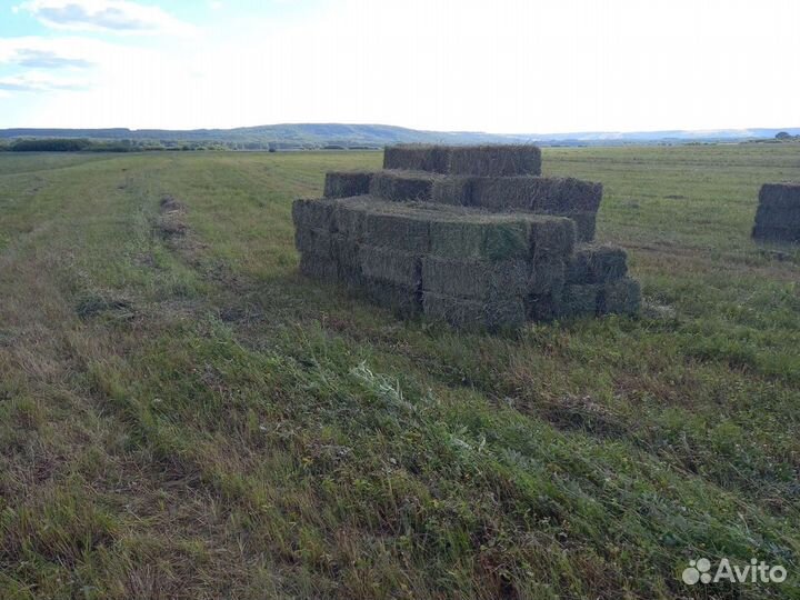 Сено в тюках
