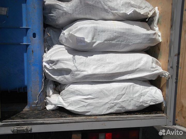 Рыба Щука, Окунь, Плотва