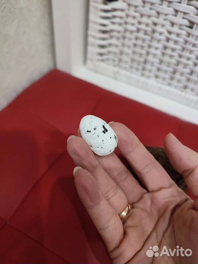 Гнездо декор