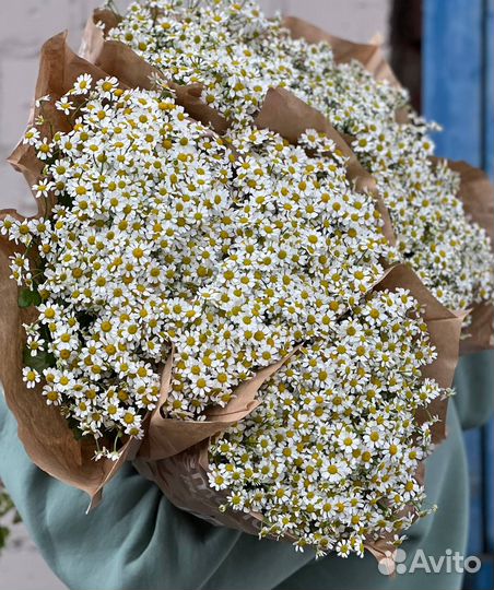 Цветы оптом для цветочных магазинов