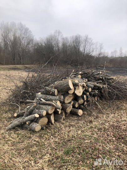 Липа самовывоз