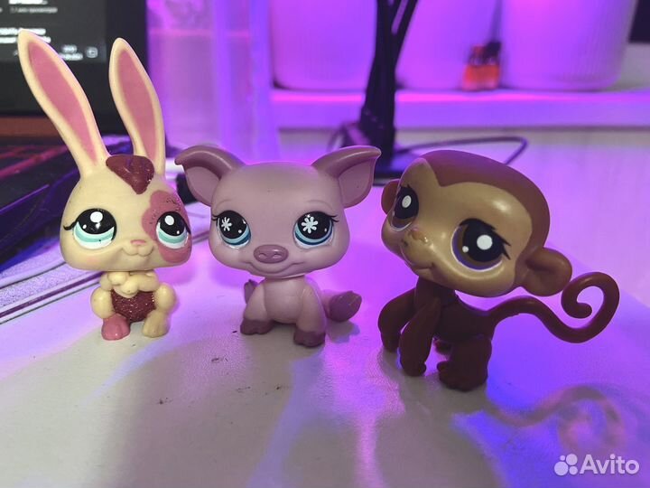Littlest Pet Shop