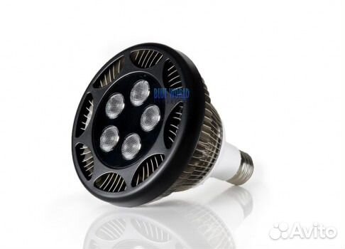 LED-светильник Cannon Par38 Spot Royal Blue