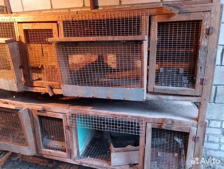 Клетки для кроликов