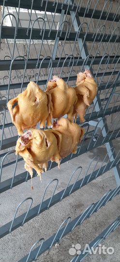 Домашний бройлер Халал