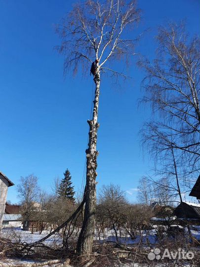 Спилить дерево, Валка частями деревьев