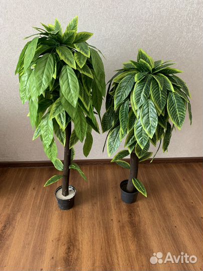 Дерево, искусственный цветок в горшке: фикус манго