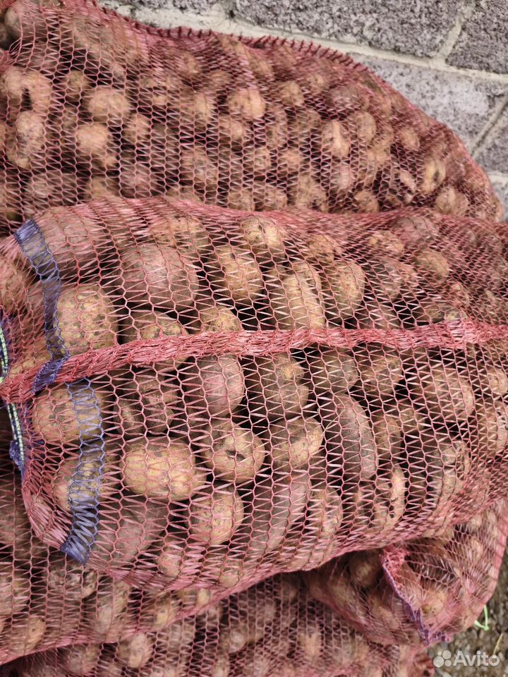 Продам картофель, Минусинск