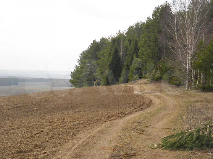 Участок 5,6 га (СНТ, ДНП)
