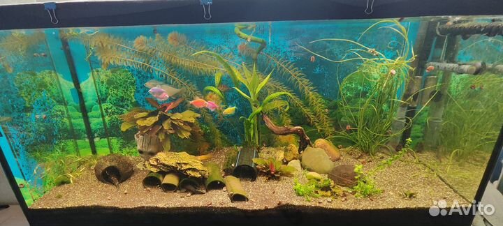 Аквариум