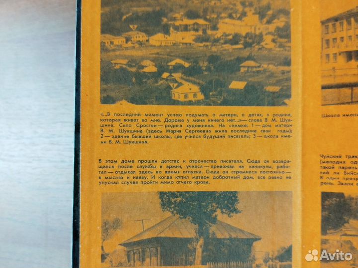 Василий Шукшин. Наказ. Рассказы. 1980г