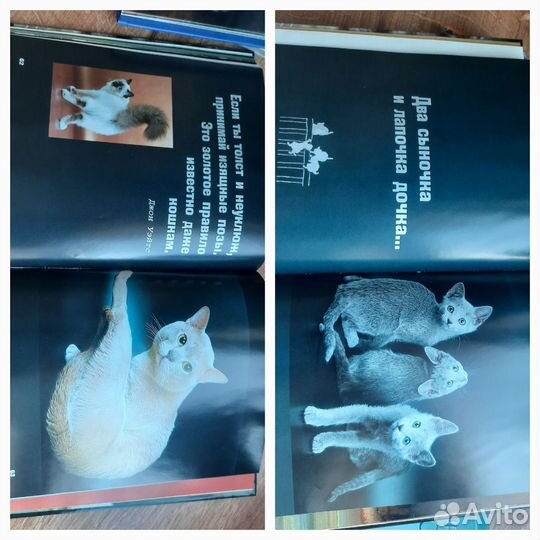 Книги бесплатно