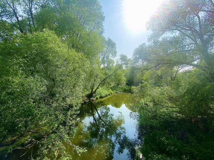 Участок 8 сот. (ИЖС)