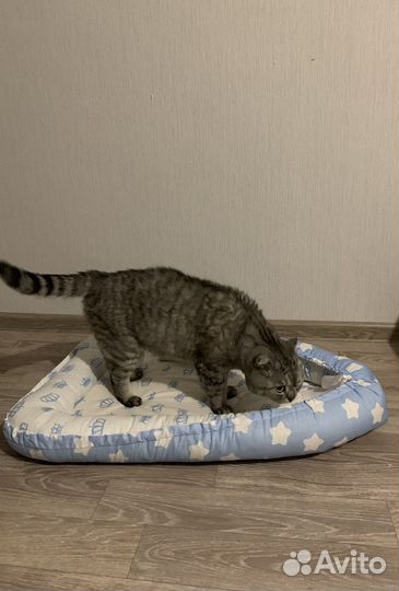 Лежанка треугольная для кошек и собак