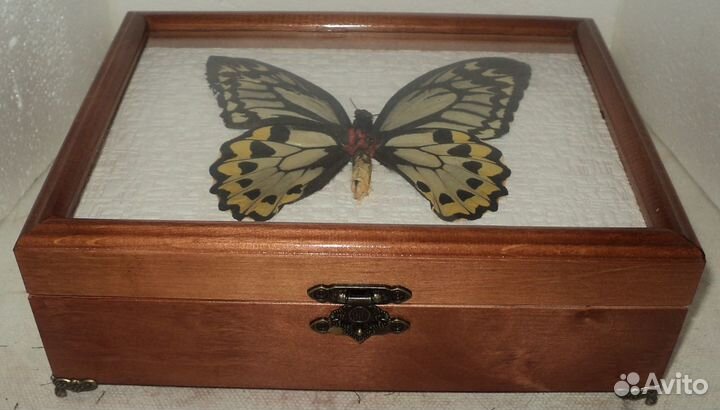 Шкатулка для чая