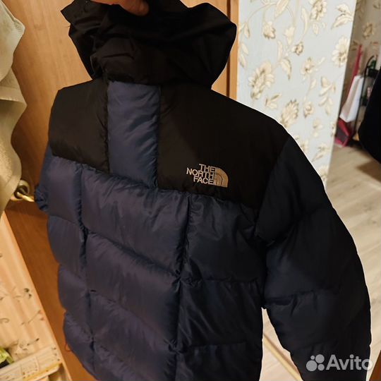 Пуховик TNF 800