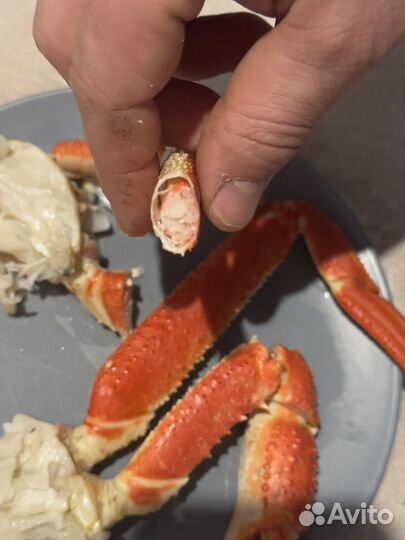 Краб стригун