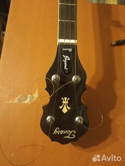 Банджо Tenesy Jagard. Japan