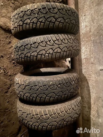 Gislaved Nord Frost 5 195/65 R15