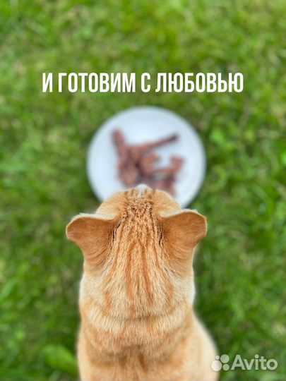 Лакомства для собак и кошек