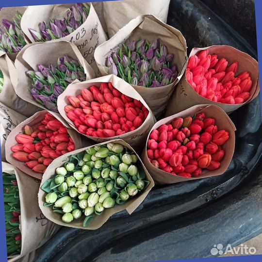 Тюльпаны к 8 марта оптом