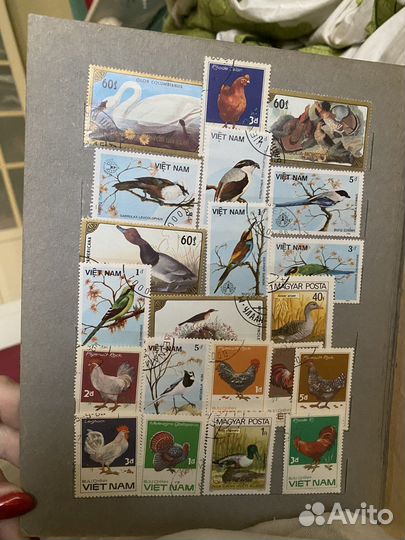 Почтовые марки СССР