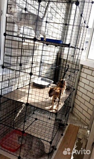 Вольер манеж