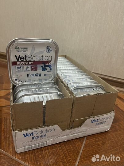 Корм для собак monge влажный