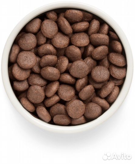 Сухой корм для собак от грандофф премиум класса