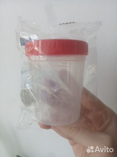 Улитка Теодоксус