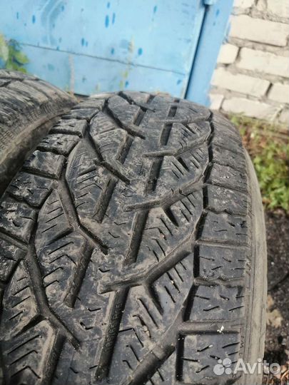 Tigar Winter 185/65 R15