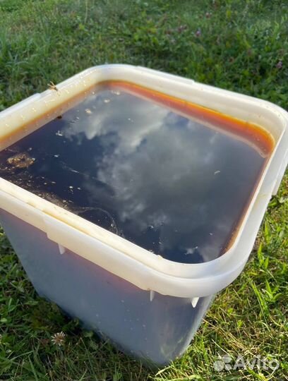 Мед оптом с Алтая / Экспорт в Китай и снг