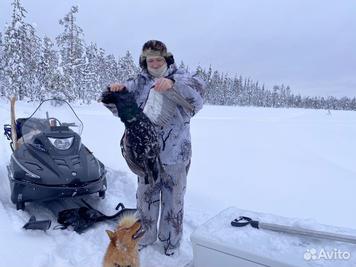 Вязка Кобель Карело-финская лайка