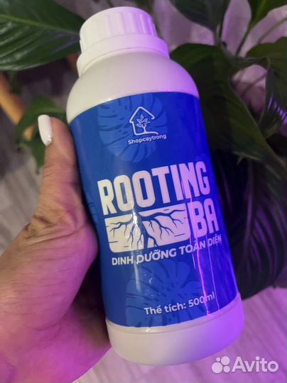 Корневой стимулятор тайланд