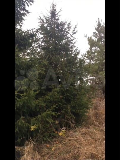 Дача 51 м² на участке 5,1 сот.