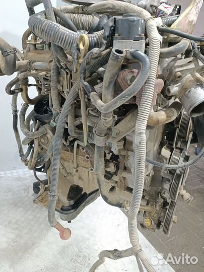 Двигатель YD25 Nissan Navara D40 2.5 Дизель