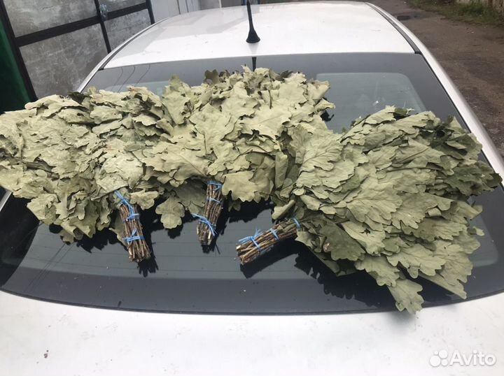 Веники для бани опт: берёза-100, дуб-150