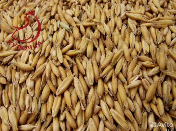 Овес в мешках