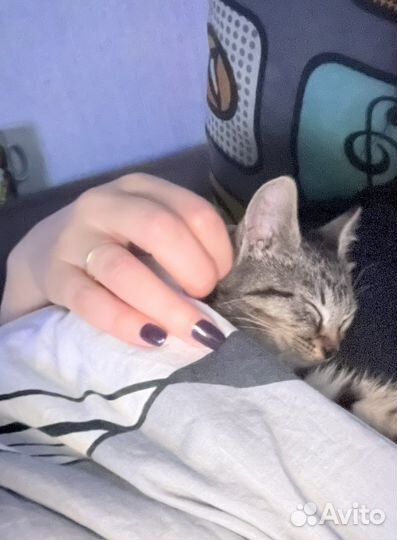 Малышка ищет семью