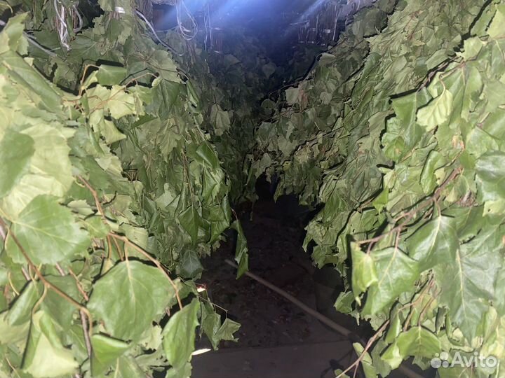 Веники для бани