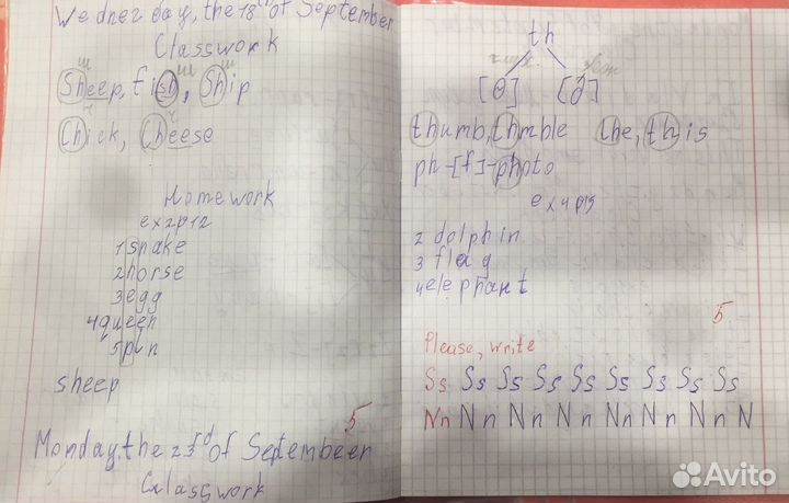 Репетитор егэ английского языка с опытом работы