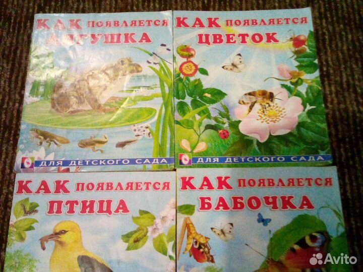 Как появляется