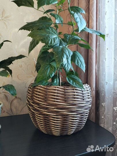 Кашпо из ротанга 12 литров